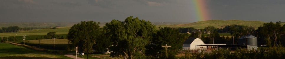 Lemkuhlerrainbowmast