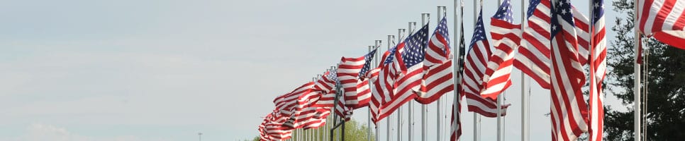 Cemetary Mast Flags
