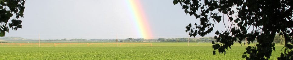Rainbowfarm